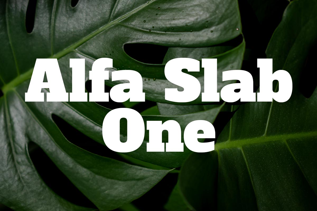 Muta Studio Blog post 5 tipografías alternativas a Alfa Slab One