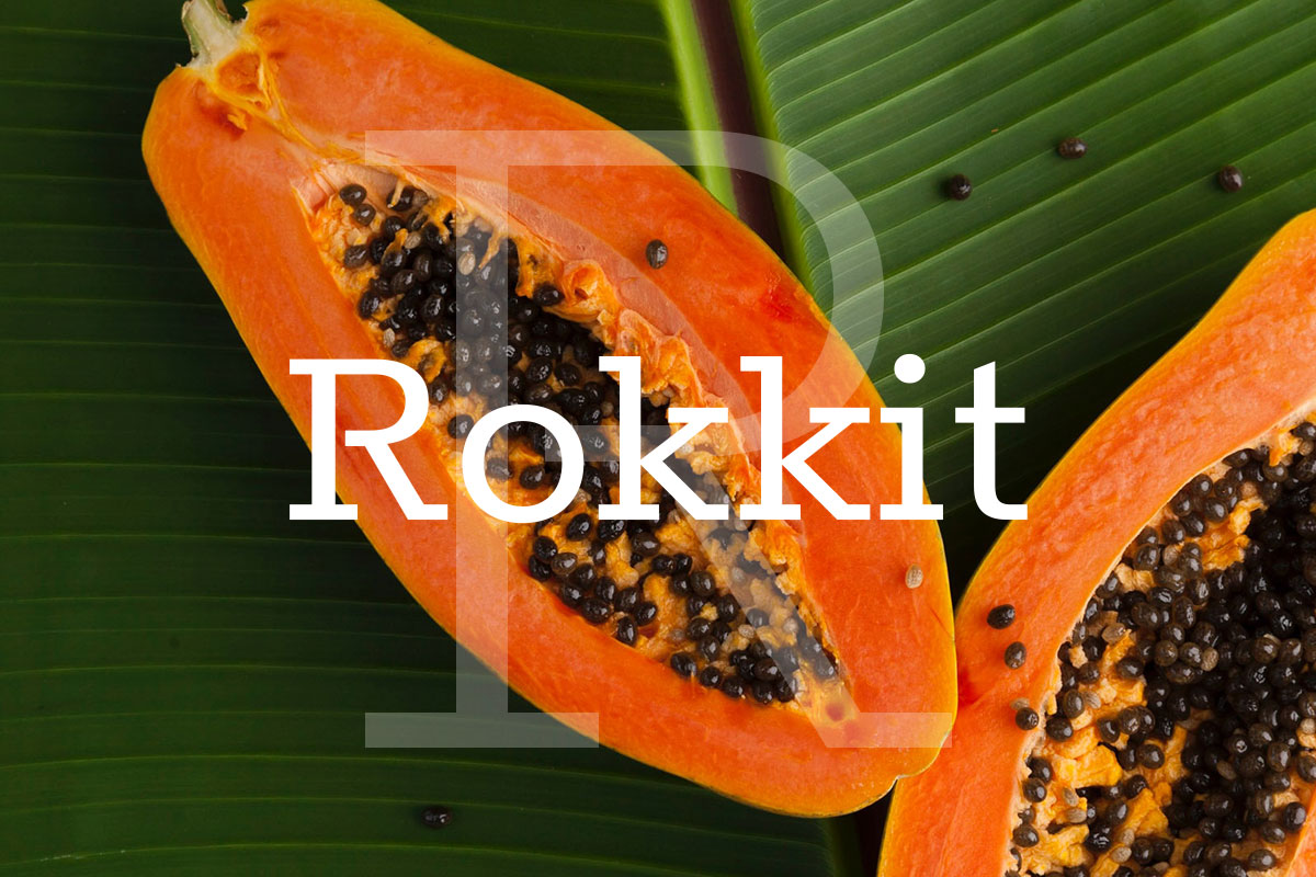 Muta Studio Blog post 5 tipografías alternativas a Rokkit